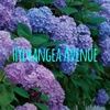 hydrangeaavenue